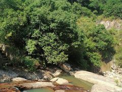 -广州白江湖森林公园