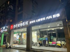-四月宠物医院·猫专科·心脏专科·内科(转塘店)