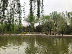 -团结湖公园