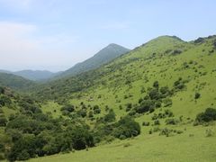 -大姆山草场