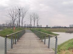 -洋湖国家湿地公园