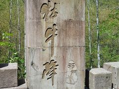 -石台牯牛降景区