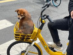 -阿嬷手作(成都万象城店)