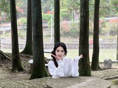 -玉苍山国家森林公园