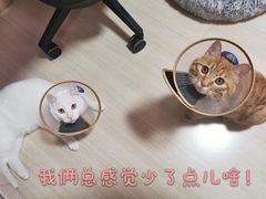 -乐宠动物医院