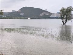 -大理洱海
