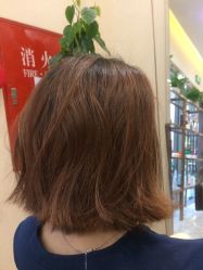 -专业烫发染发接发