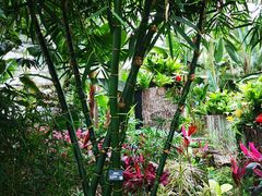 -北京植物园-展览温室