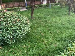 -西南政法大学(沙坪坝校区)