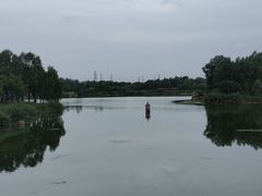 -马家湾湿地公园