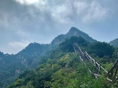 -大岭沟猕猴桃谷风景区