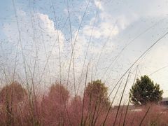 -映月湖中央公园
