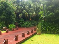 -亚马逊丛林水乐园