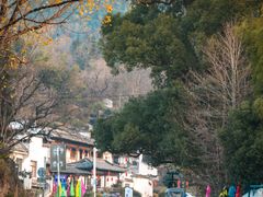 -塔川景区