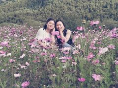 -成都濑川外国语学校