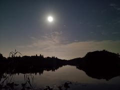 -上海市保健医疗中心