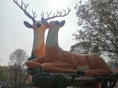 -南京银杏湖乐园