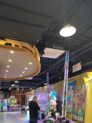 -卡通尼·Safari非洲探索乐园·生日会(金桥国际商业广场店)