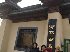 -御林古桑园