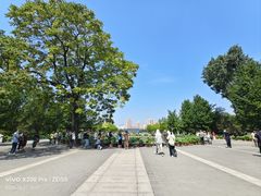 -莲花池公园