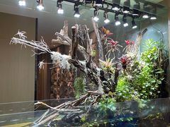 -甄花精致料理自助(城市阳台店)