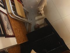 -蜗牛单车咖啡(银座购物广场东城店)