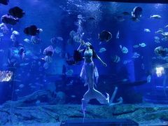 -石林冰雪海洋世界