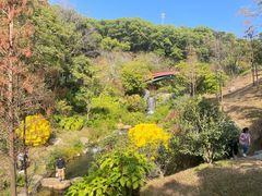 -云溪植物园