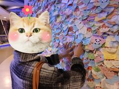 -339旋转餐厅(天府熊猫塔店)