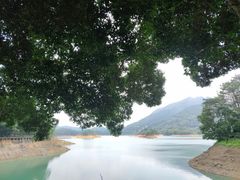 -广州市流溪河国家森林公园