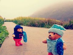 android_upload_pic-广州市石门国家森林公园