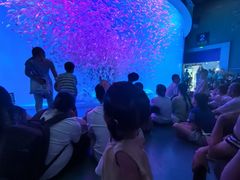-合肥海洋世界