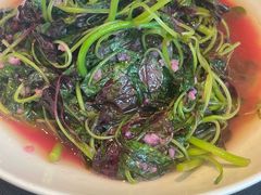 -望乡楼上海菜(日月光店)