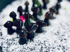 -荷风细雨·中国茶宴(碧云店)