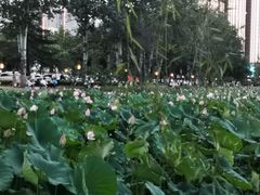 -渭滨公园
