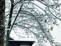 -木守西溪溪隐餐厅