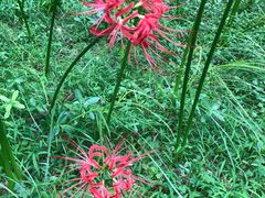 -河海大学(常州校区)