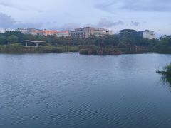 -福田红树林生态公园