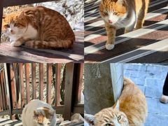 -终南山南五台景区