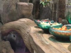 -老湘亲·品鉴湘菜(湖里店)