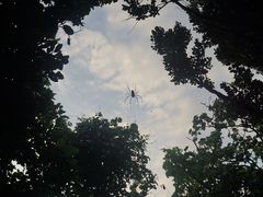 -鹅銮鼻公园