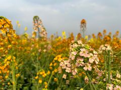 -中国天府农业博览园