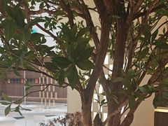 -静耳元気采耳·按摩·SPA(万象前海店)
