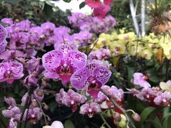 -北京植物园-展览温室