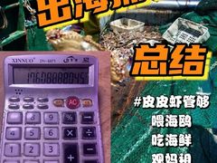 -红星码头