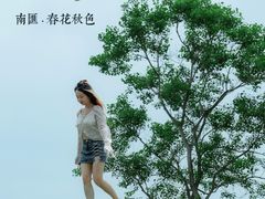 -春花秋色城市公园