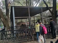 -长白岛森林公园