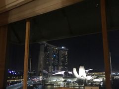 -新加坡丽思卡尔顿美年酒店