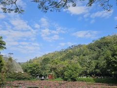 -野象谷景区