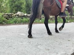-养马峡